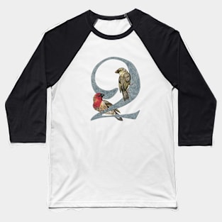 Avian Alphabet Q - Cardinal quelea Baseball T-Shirt